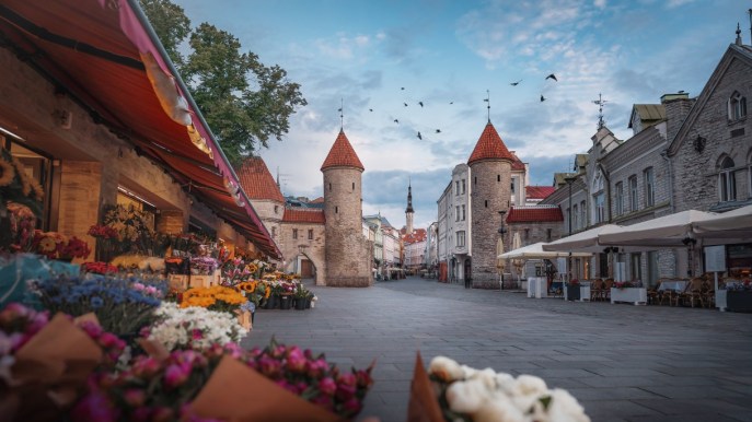 Dormire a Tallinn: i migliori quartieri per il tuo soggiorno