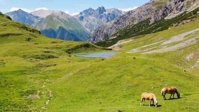 I luoghi meno noti della Valtellina consigliati dai local