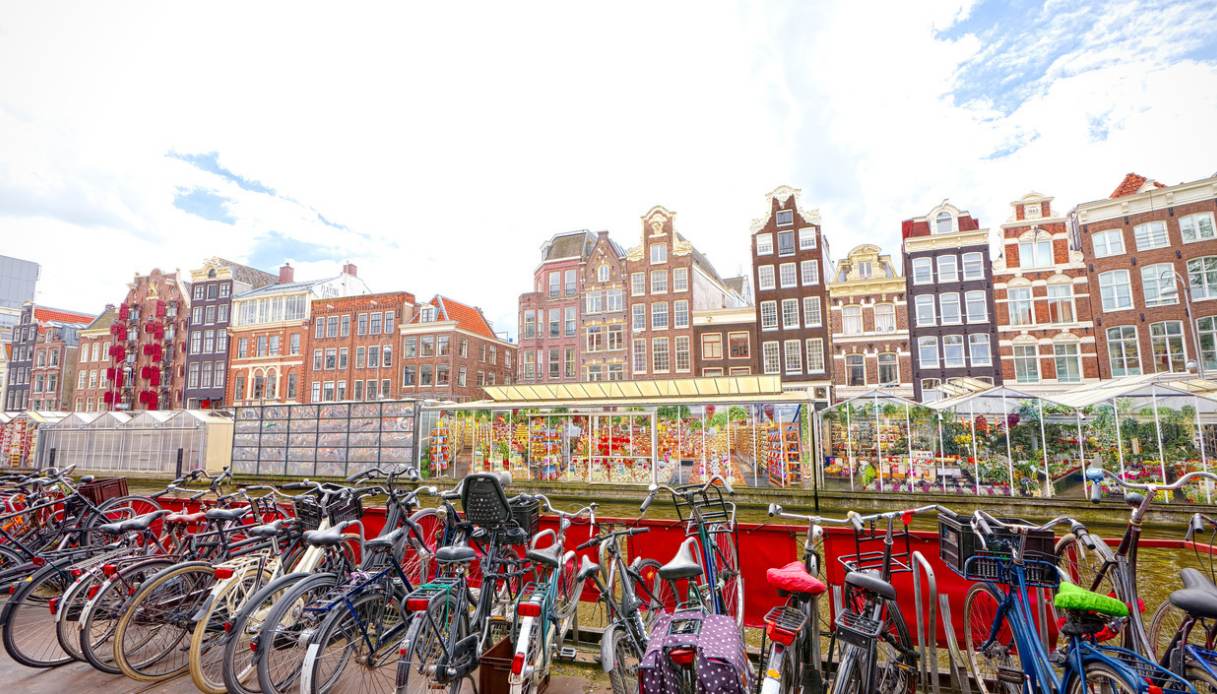Bloemenmarkt il mercato dei fiori di Amsterdam