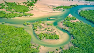 Senegal: scopri il Parco Nazionale del Delta del Saloum