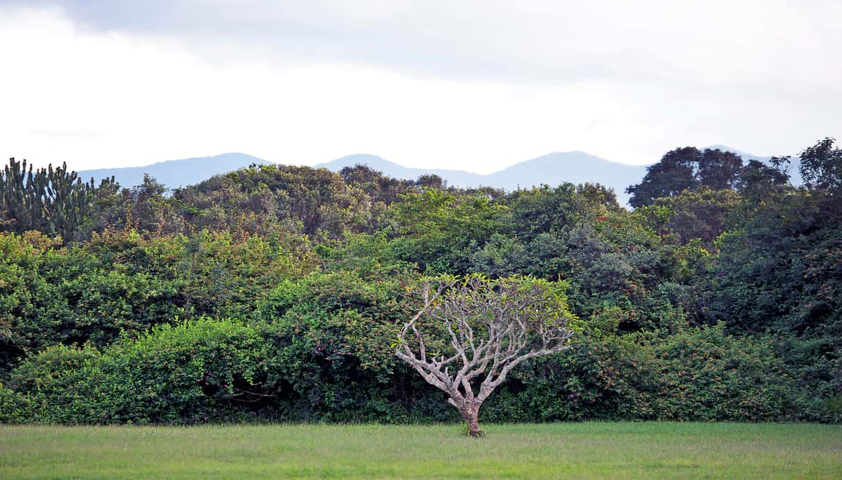 Dove si trova il Karen Blixen Museum