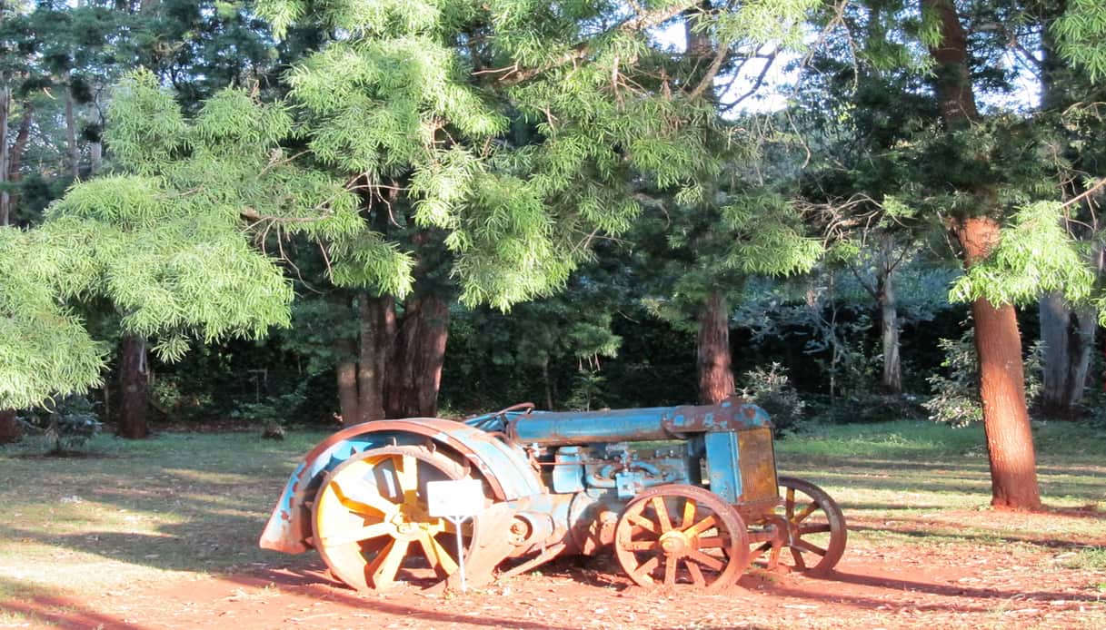 Le esposizioni del Karen Blixen Museum