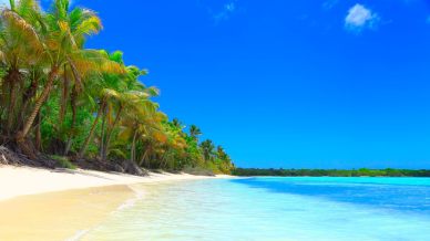 Isola di Saona: cosa fare e quando andare nel paradiso caraibico