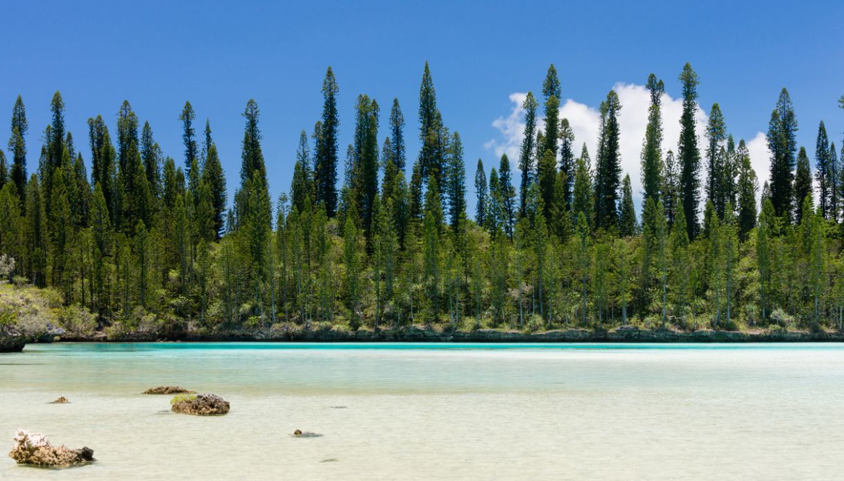 Isola dei Pini, Nuova Caledonia