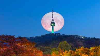 Visitare la N Seoul Tower e ammirare la capitale della Corea dall’alto