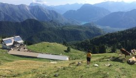 Friuli, un’escursione panoramica con vista sul Tagliamento