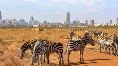 Cosa vedere nel Parco Nazionale di Nairobi