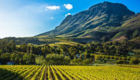 Stellenbosch, sulla Strada del Vino in Sudafrica: un gioiello pittoresco