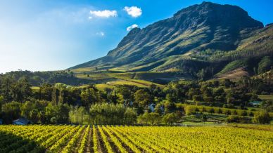 Stellenbosch, sulla Strada del Vino in Sudafrica: un gioiello pittoresco