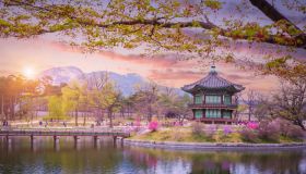 Visto per la Corea del Sud, come farlo? Consigli utili e informazioni