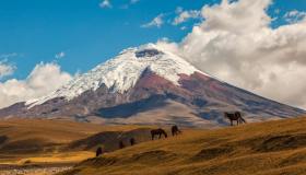 Guida completa alla scoperta del vulcano Cotopaxi in Ecuador