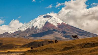 Guida completa alla scoperta del vulcano Cotopaxi in Ecuador