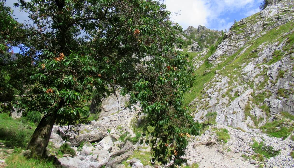 Canal Regollo Alpi Apuane Toscana