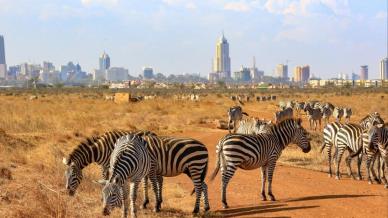 Cosa vedere a Nairobi: itinerario alla scoperta della capitale del Kenya