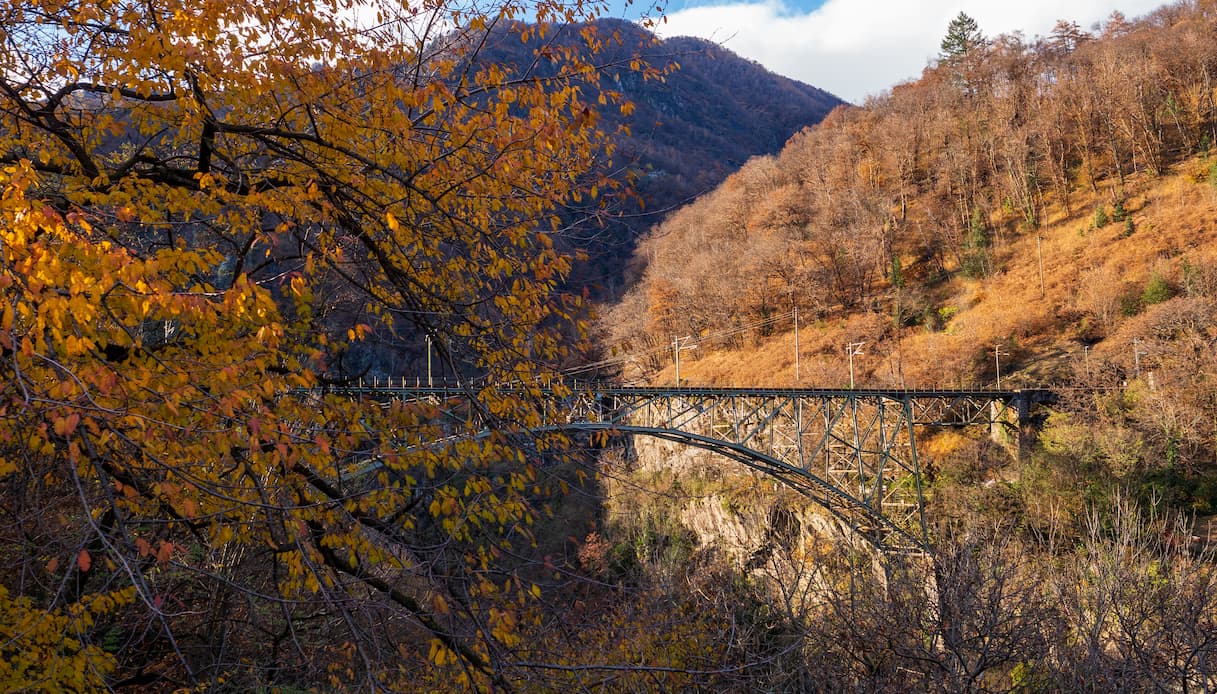 Ferrovia Vigezzina-Centovalli, Treno del Foliage, autunno