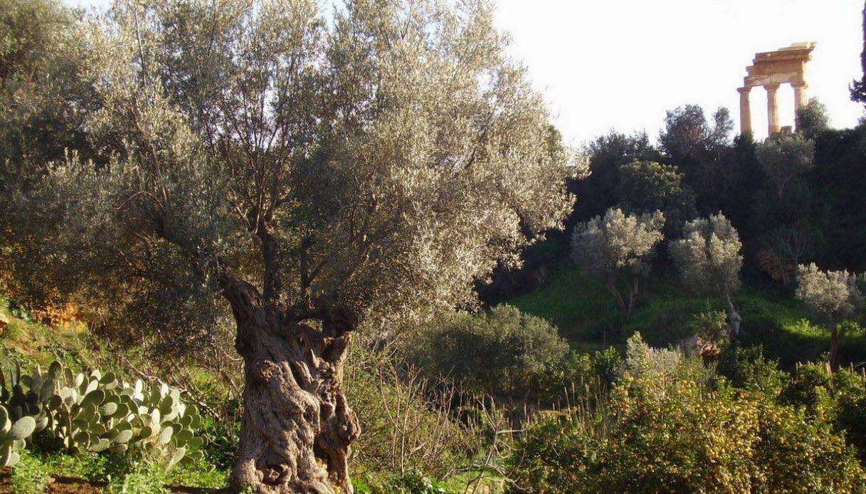 Giardino della Kolymbethra in Sicilia