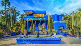 Jardin Majorelle: uno dei giardini più belli del mondo compie 100 anni