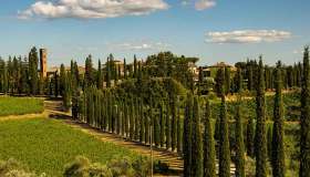 In Italia, lungo le strade della felicità