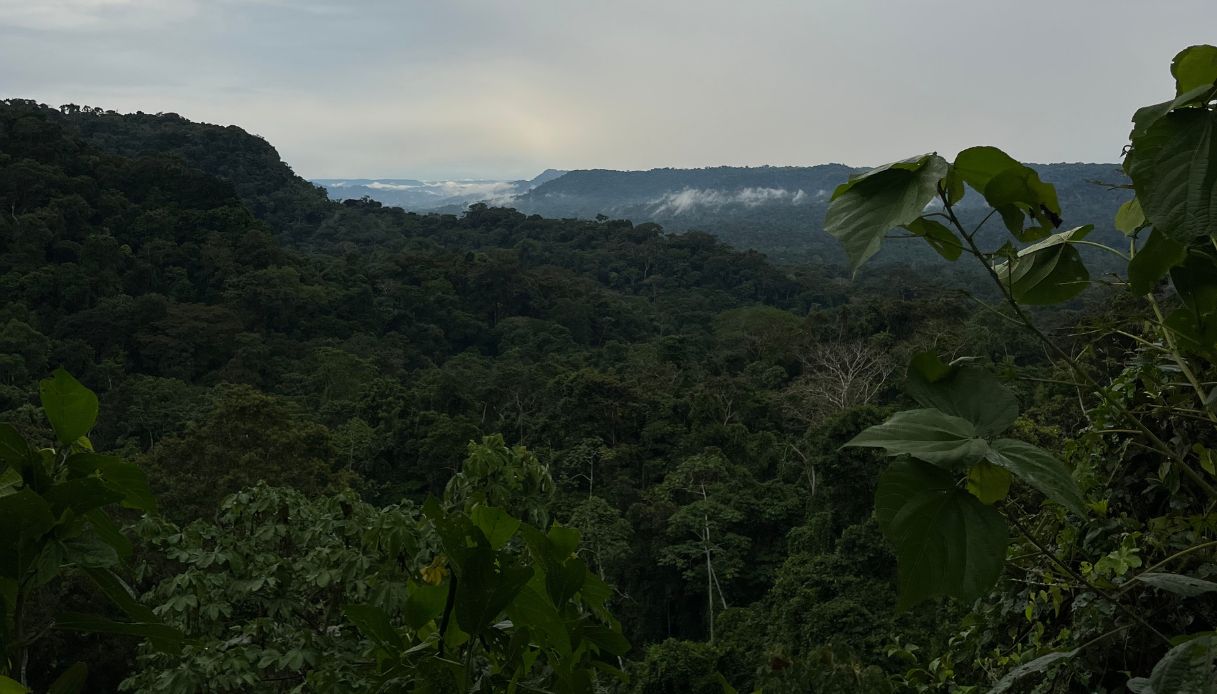 La foresta amazzonica in Ecuador