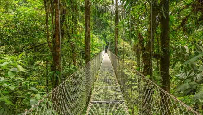 Zip line e passerelle al Vulcano Arenal