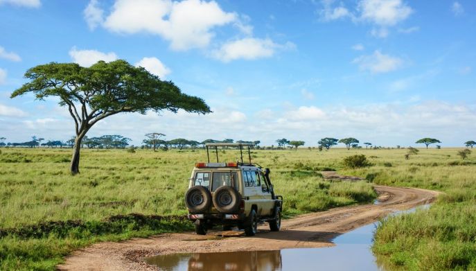 Un momento di safari in tanzania