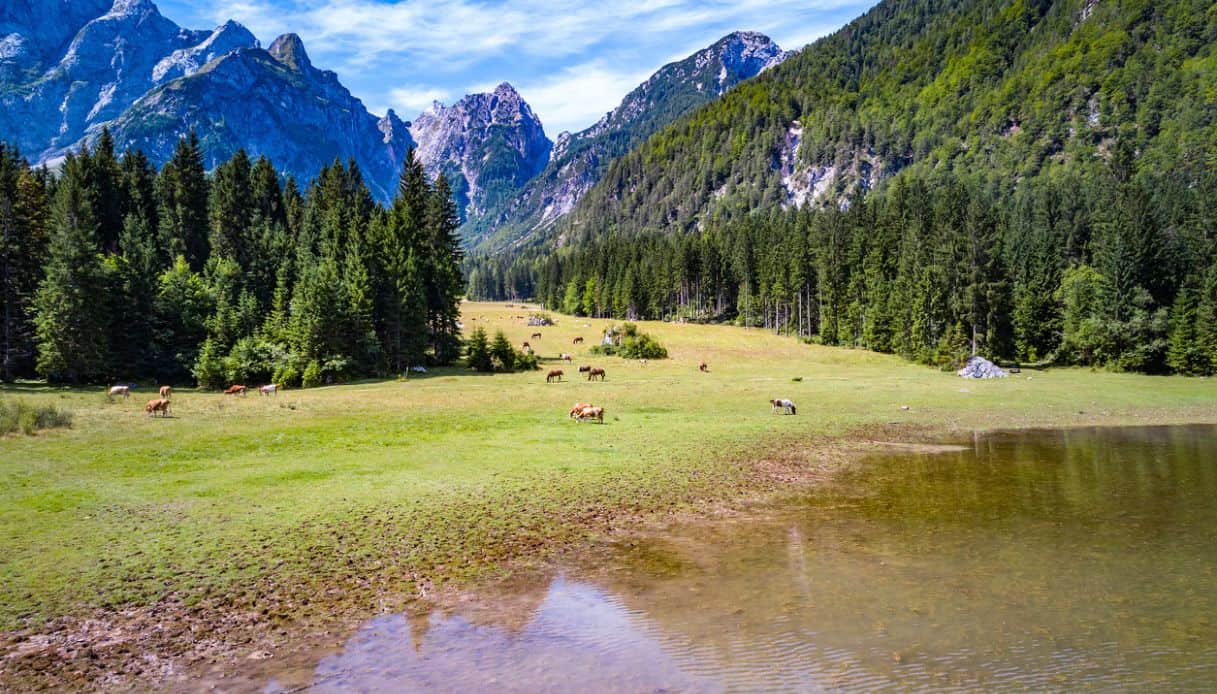 Laghi di Fusine