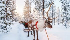 Nuovi voli Ryanair per la Lapponia e il Paese di Babbo Natale