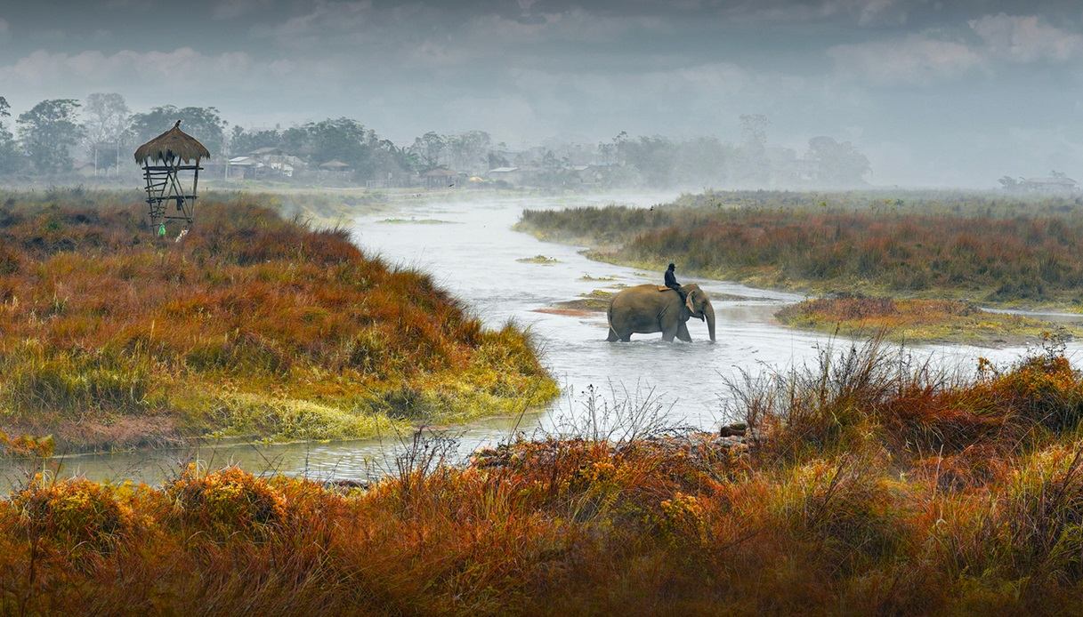 Parco Nazionale di Chitwan, Terai, Nepal