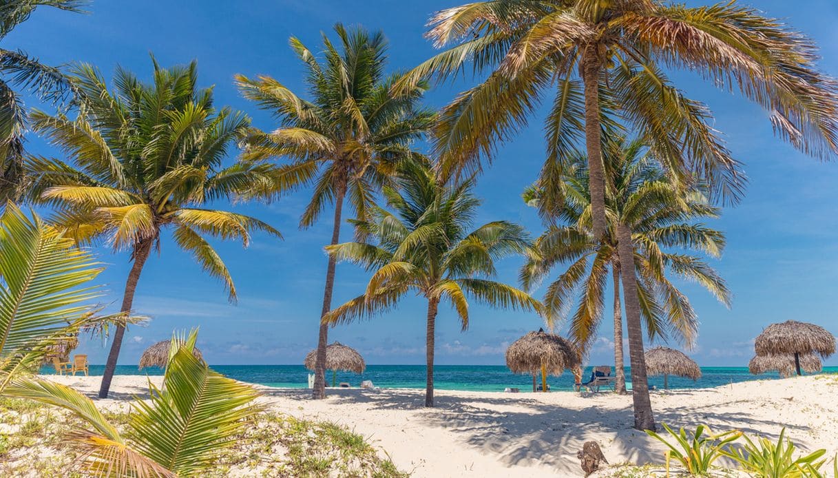 Cayo Levisa, cosa sapere e cosa vedere