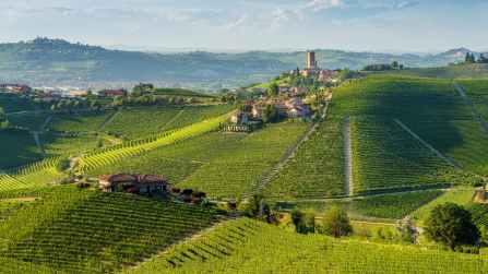 I paesaggi vitivinicoli del Piemonte, patrimonio Unesco da dieci anni