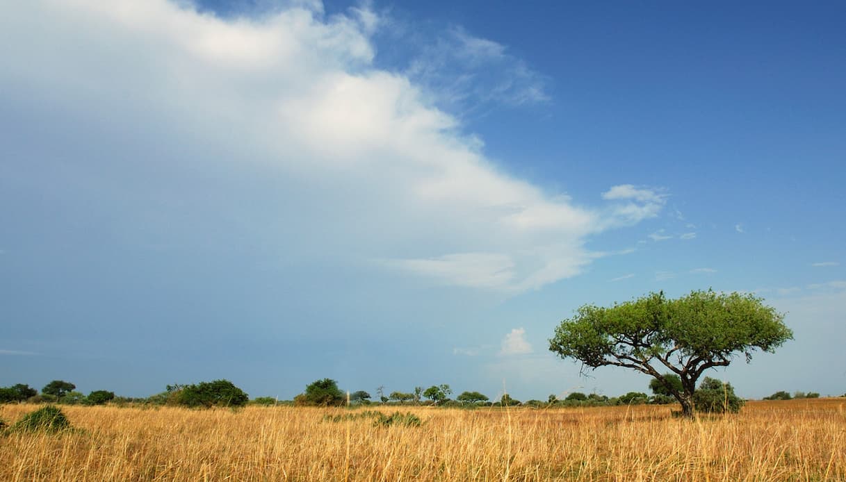 Parco Nazionale di Waza, Camerun