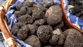 Sagre del tartufo, le più belle dove andare in Italia