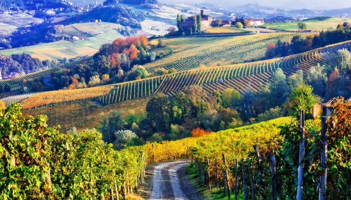 https://siviaggia.it/wp-content/uploads/sites/2/2024/10/vigneti-piemonte.jpg