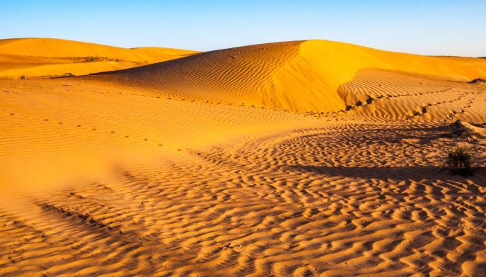 panoramica deserto di Wahiba