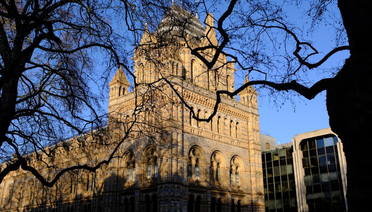 La facciata del Museo di Storia Naturale a Londra