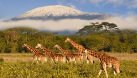 Come ottenere l’eTa, che sostituisce il visto turistico per il Kenya