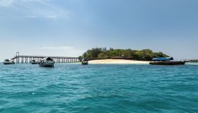 Cosa vedere nella piccola Prison Island di Zanzibar