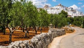 Ostuni, dal recupero di un vecchio frantoio alla scoperta del territorio: la storia di Domus Oleorum