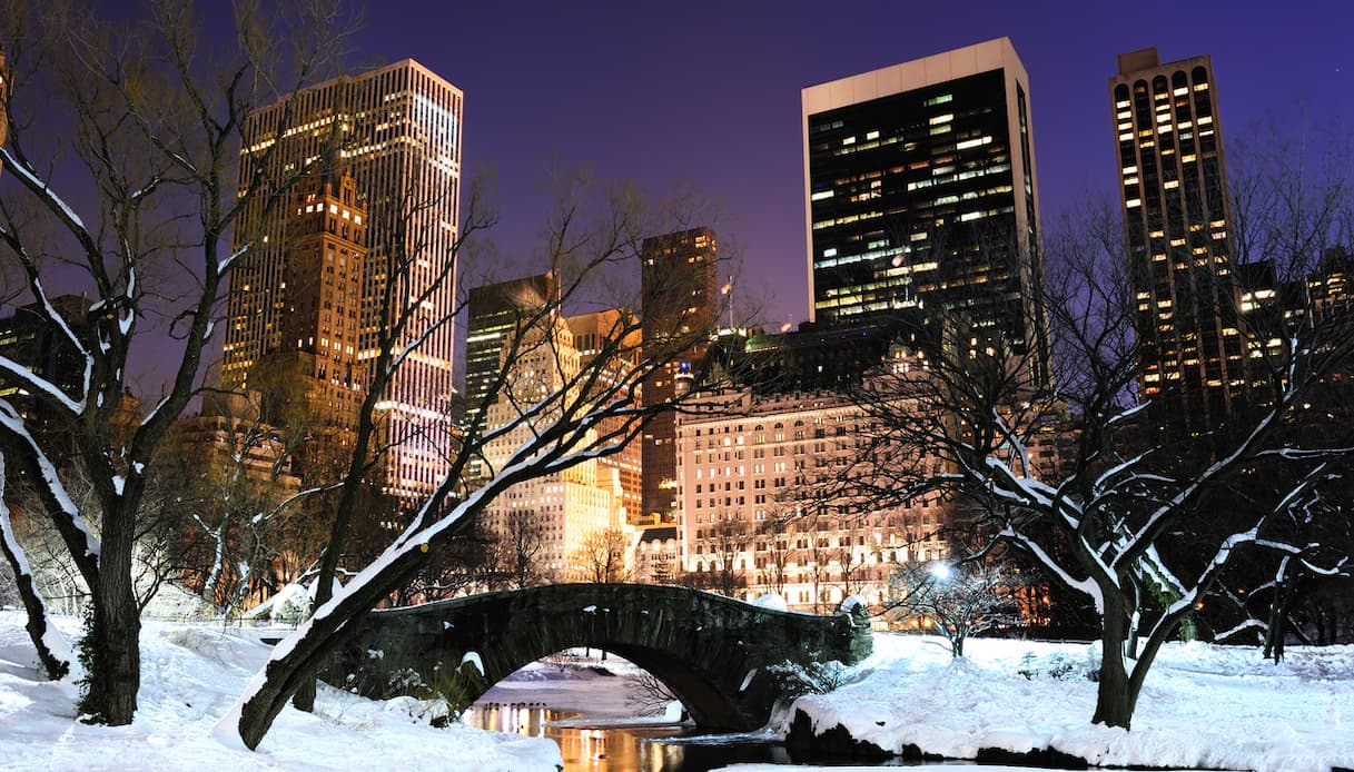 Central Park, New York, Natale