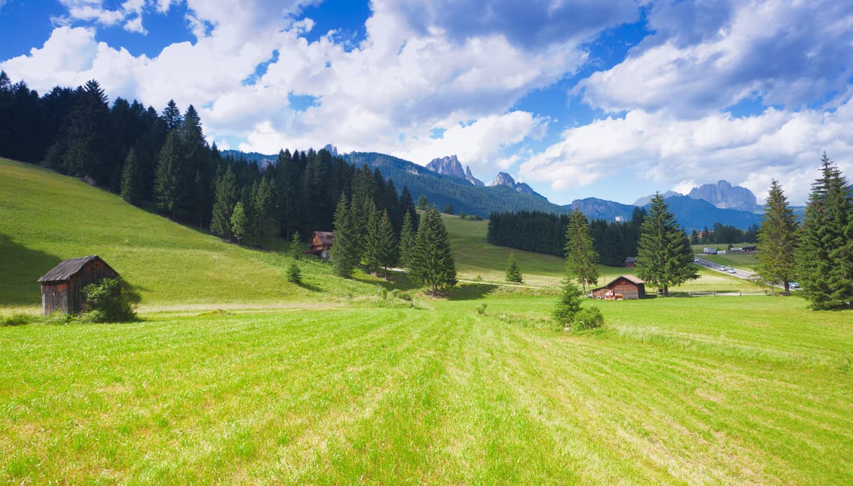 Val di Fiemme, paesaggio