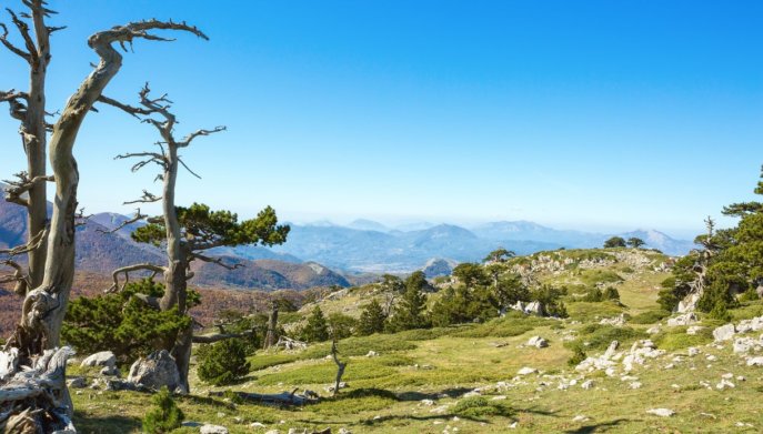 Parco Nazionale Pollino