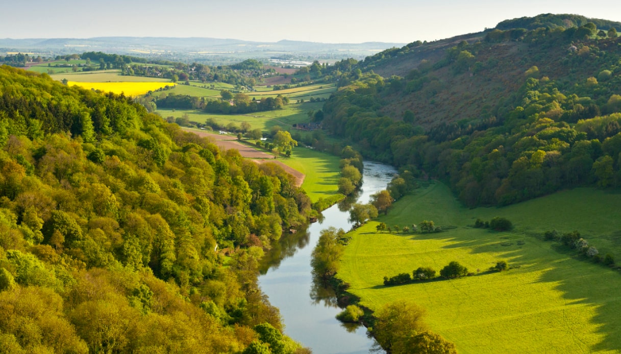 Forest of Dean scenario di Harry Potter