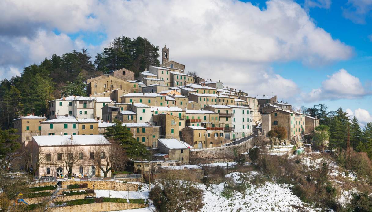 Gerfalco con la neve