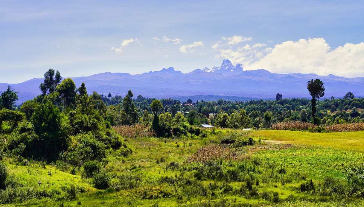 Parco Nazionale del Monte Kenya che ha ispirato Dr. Seuss