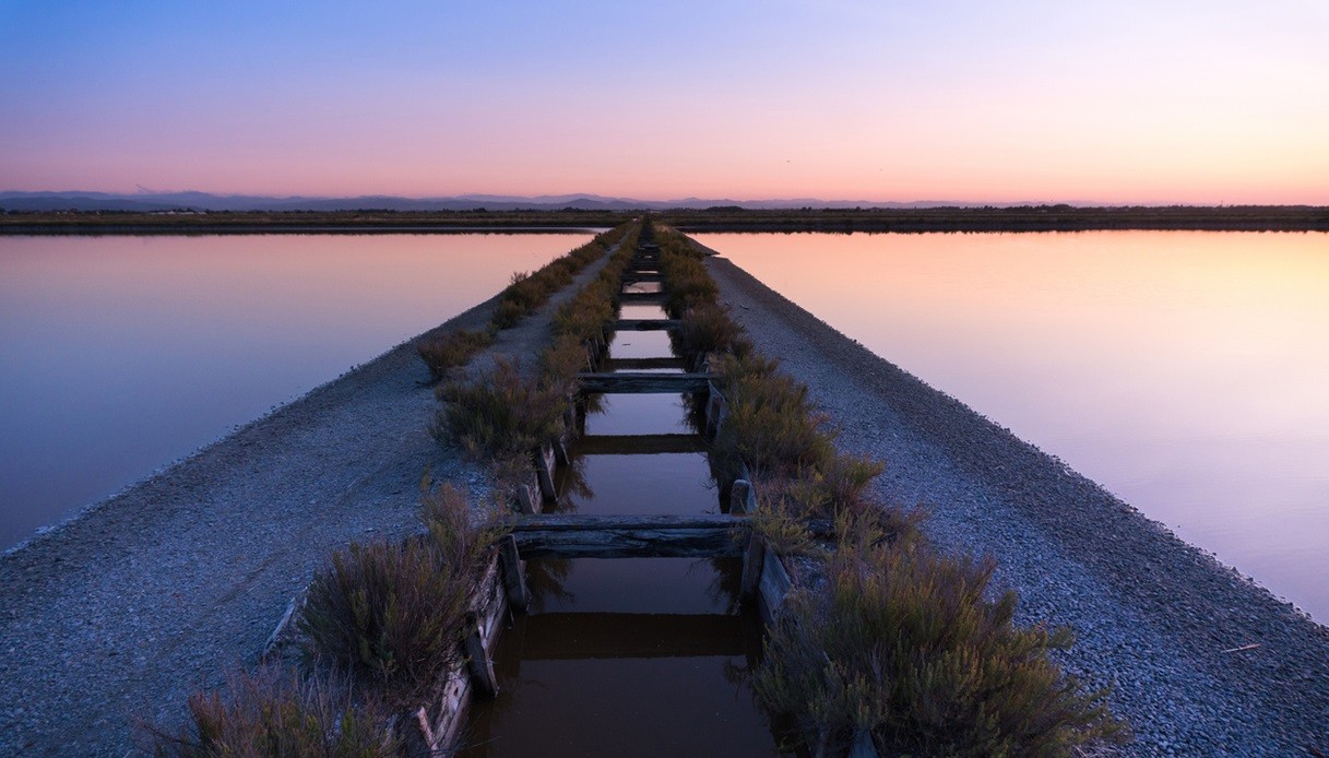 Saline di Cervia