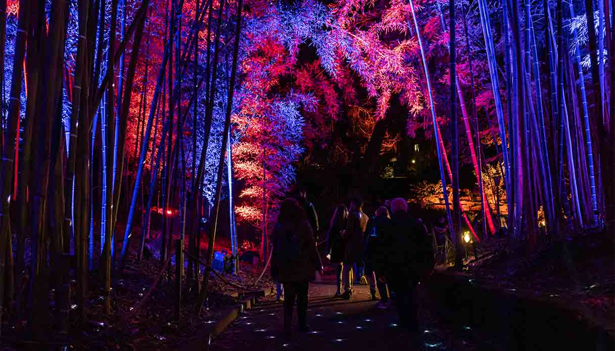 luminarie-Trame-di-luce-roma