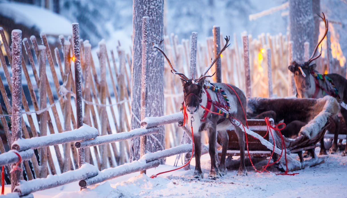 Cancellato il Natale in Lapponia: non c’è abbastanza neve