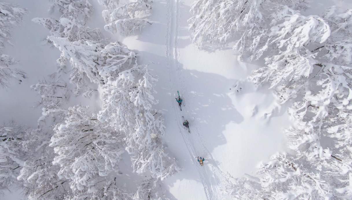 sci fondo slovenia