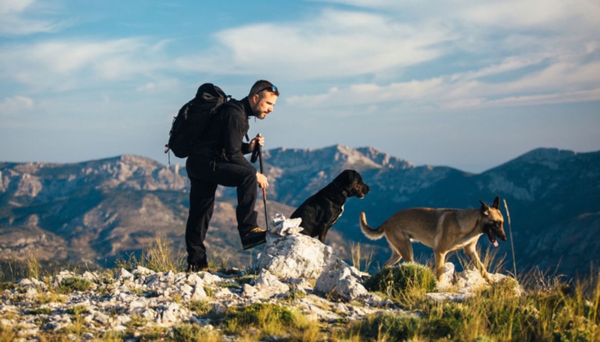 Vacanze in montagna col cane in Italia ed Europa