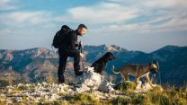 Vacanze in montagna col cane in Italia ed Europa